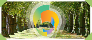 Share your Perspective with Panorama